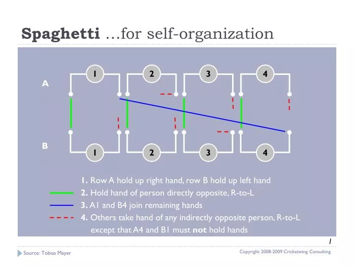 spaghetti for self organization