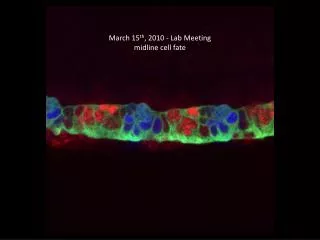 March 15 th , 2010 - Lab Meeting midline cell fate