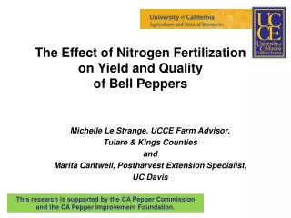 The Effect of Nitrogen Fertilization on Yield and Quality of Bell Peppers