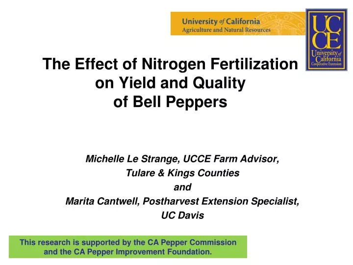 the effect of nitrogen fertilization on yield and quality of bell peppers