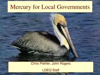 Mercury for Local Governments