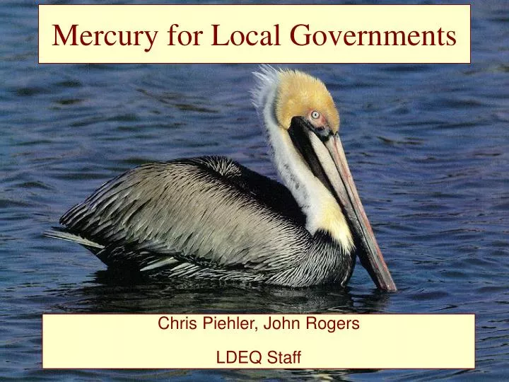 mercury for local governments