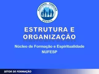 estrutura e organiza o