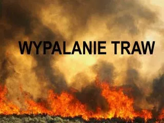 wypalanie traw