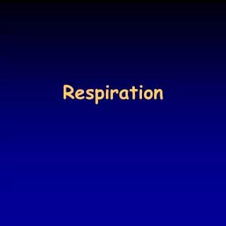 Respiration