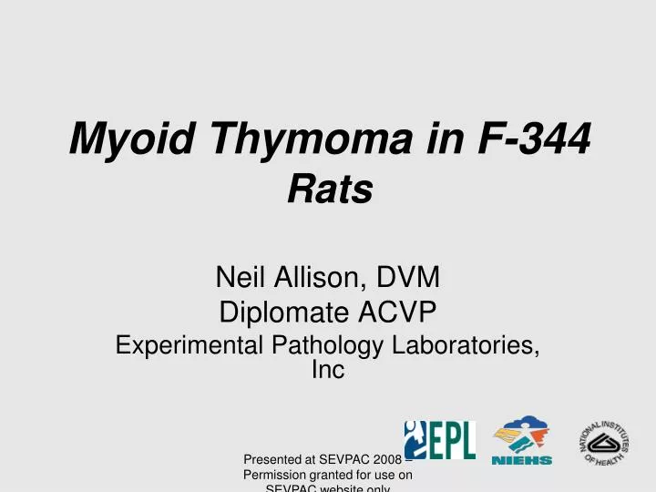 myoid thymoma in f 344 rats
