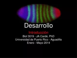biolog a del desarrollo