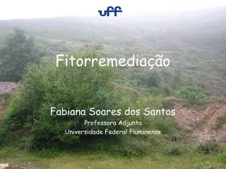 fitorremedia o