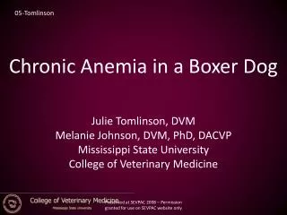 Chronic Anemia in a Boxer Dog