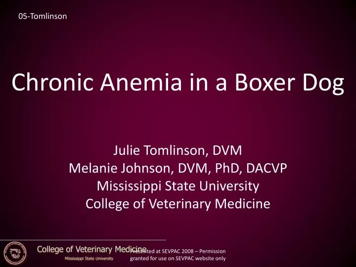 chronic anemia in a boxer dog