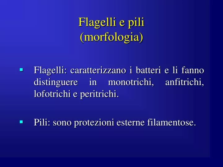 flagelli e pili morfologia