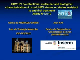 Selma de ANDRADE GOMES Lab. de Virologia Molecular IOC-FIOCRUZ