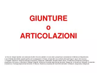 giunture o articolazioni