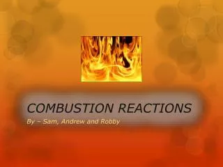 COMBUSTION REACTIONS