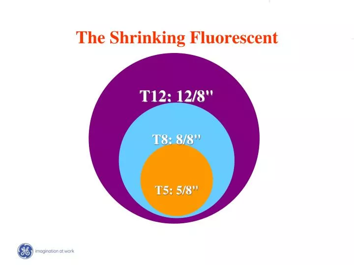 the shrinking fluorescent