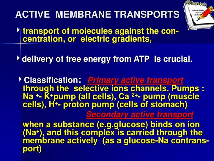 active membrane transports