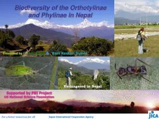 Biodiversity of the Orthotylinae and Phylinae in Nepal