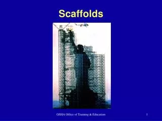 scaffolds