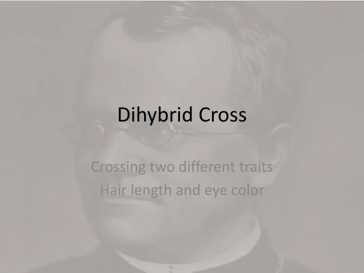 dihybrid cross