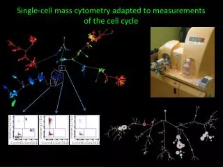 Single-cell mass cytometry adapted to measurements of the cell cycle
