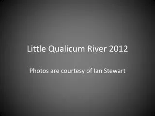 Little Qualicum River 2012