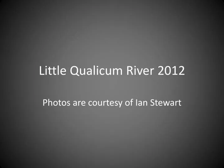 little qualicum river 2012