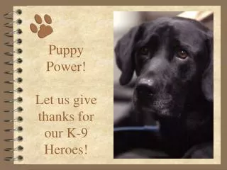 Puppy Power! Let us give thanks for our K-9 Heroes!