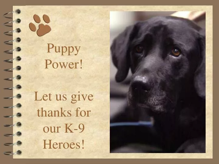 puppy power let us give thanks for our k 9 heroes