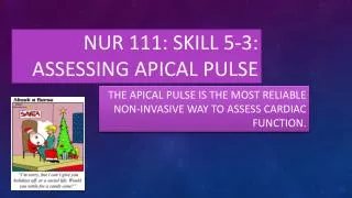 NUR 111: Skill 5-3: assessing apical pulse