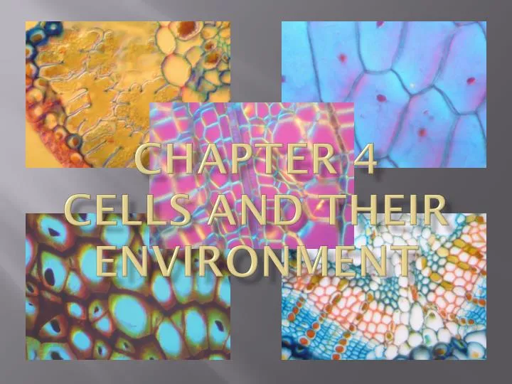 chapter 4 cells and their environment