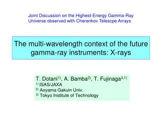 The multi-wavelength context of the future gamma-ray instruments: X-rays