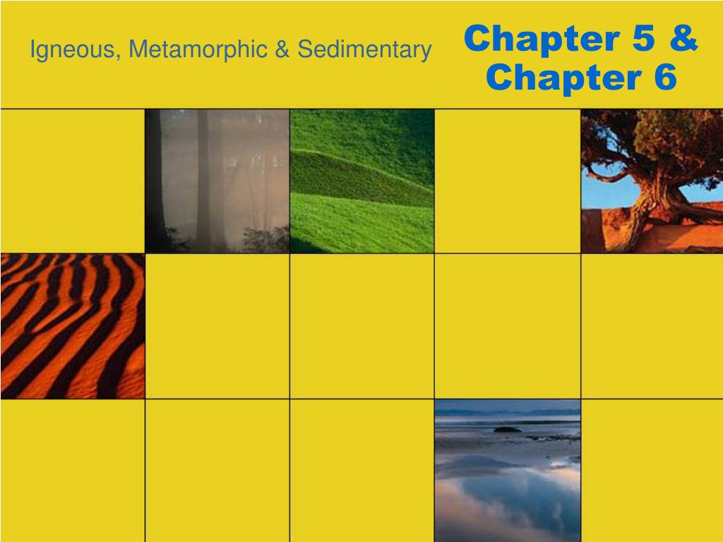 PPT - Chapter 5 & Chapter 6 PowerPoint Presentation, free download - ID ...