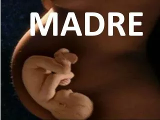 madre