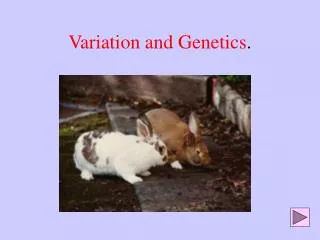 Variation and Genetics .