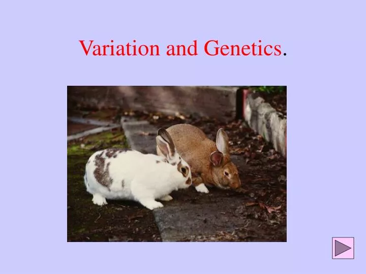 variation and genetics