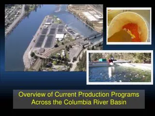 Overview of Current Production Programs Across the Columbia River Basin