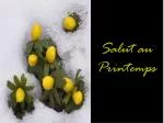 Salut au Printemps - slide 1