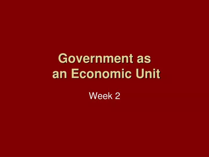 government as an economic unit