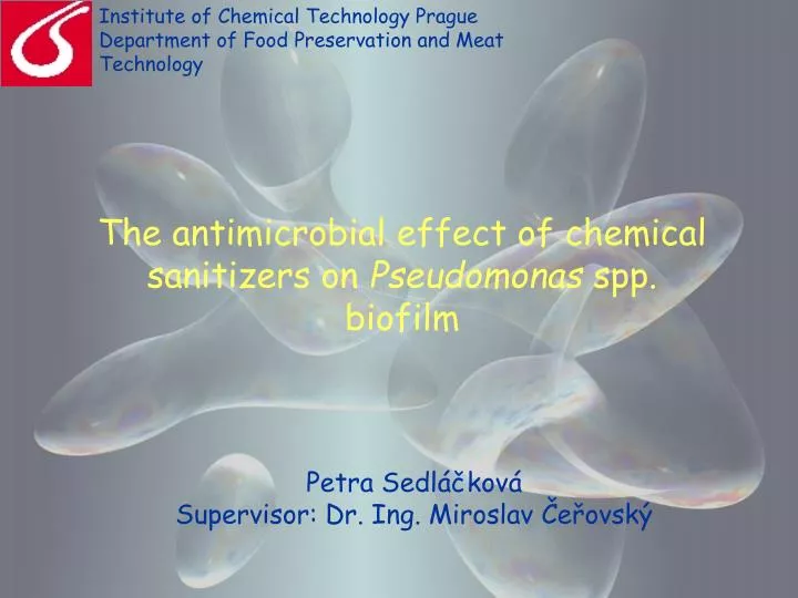 the antimicrobial effect of chemical sanitizers on pseudomonas spp biofilm