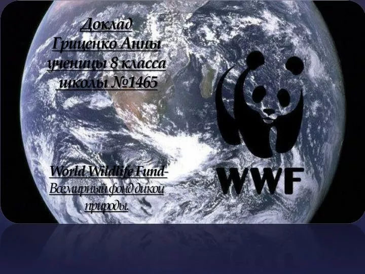 8 1465 world wildlife fund
