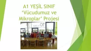 a1 ye l sinif v cudumuz ve mikroplar projesi