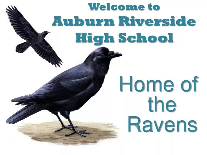 welcome to auburn riverside high school