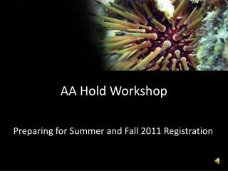 AA Hold Workshop