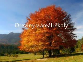 dreviny v are li koly
