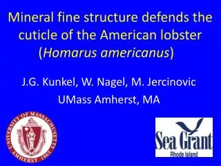 Mineral fine structure defends the cuticle of the American lobster ( Homarus americanus )