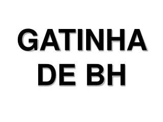 gatinha de bh