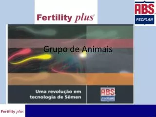 grupo de animais