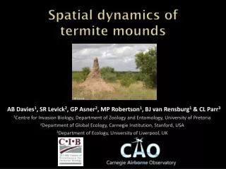 Spatial dynamics of termite mounds