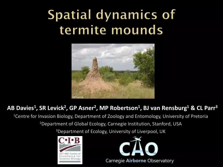 spatial dynamics of termite mounds