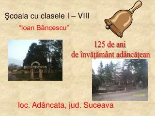 coala cu clasele i viii